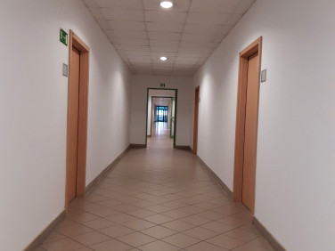 Lokal Warszawa