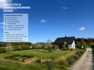 Działka Ostrów-Kania