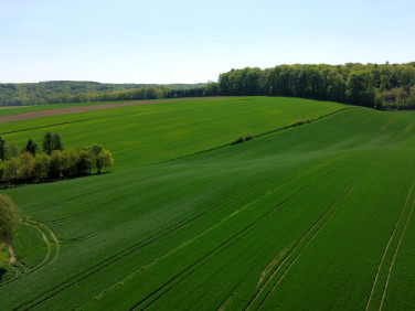 Działka Krępa