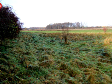 Działka inna Mierzyno