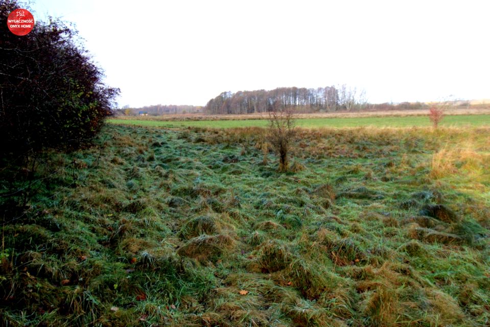 Działka inna Mierzyno