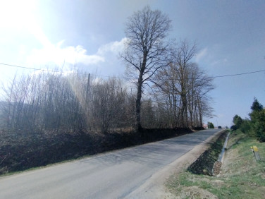 Działka Zwiernik