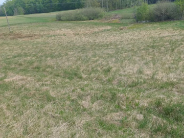 Działka budowlana Kosowo sprzedam