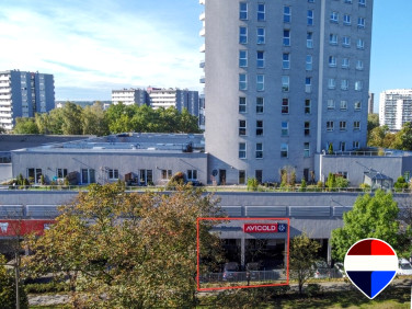 Lokal Katowice