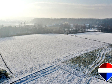 Działka Czarków