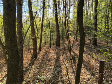Działka inna Zgierz
