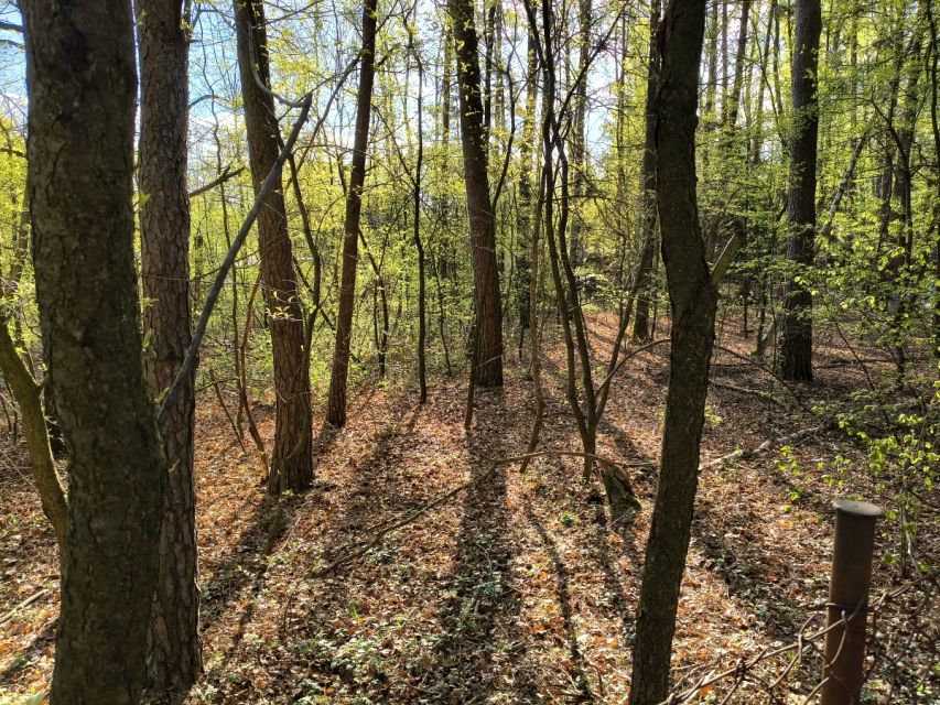 Działka inna Zgierz
