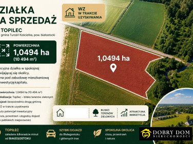 Działka Topilec