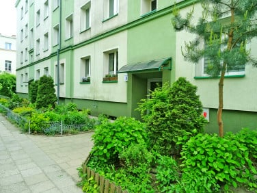 Mieszkanie przy lesie