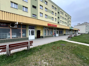 Lokal Kielce