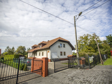 Lokal Pogwizdów