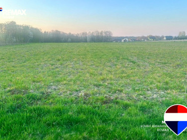 Działka budowlana Pisarzowice
