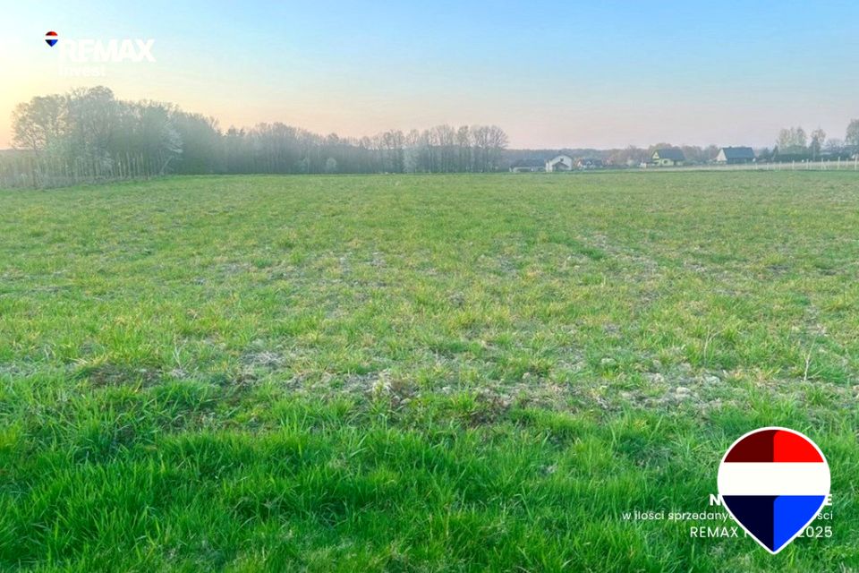Działka budowlana Pisarzowice