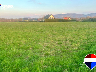 Działka budowlana Pisarzowice