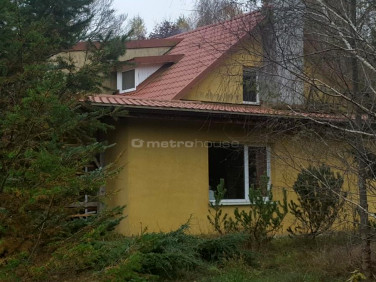 Dom Żabi Róg