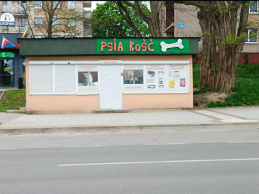 Lokal Kielce