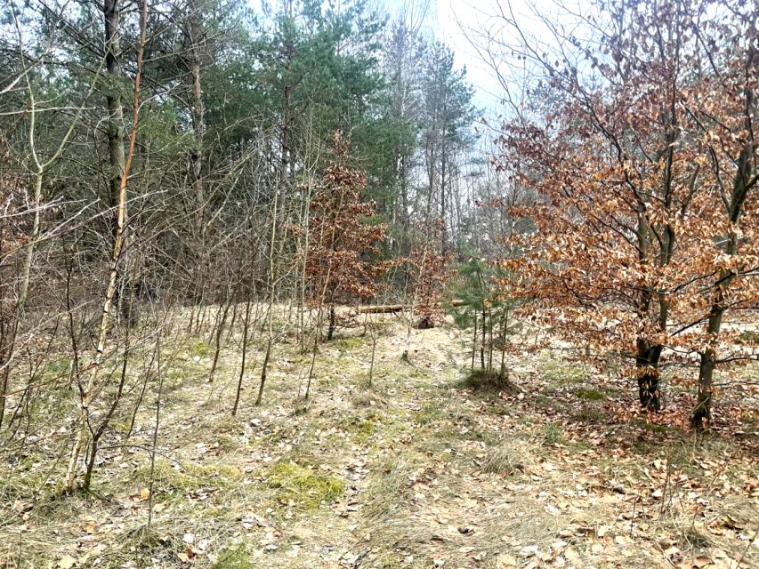 Działka budowlana Kamień