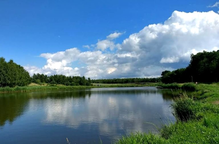 Działka budowlana Grodzisko