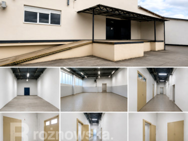 Budynek użytkowy Zielona Góra