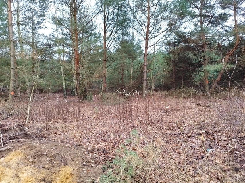 Zdjęcie 2