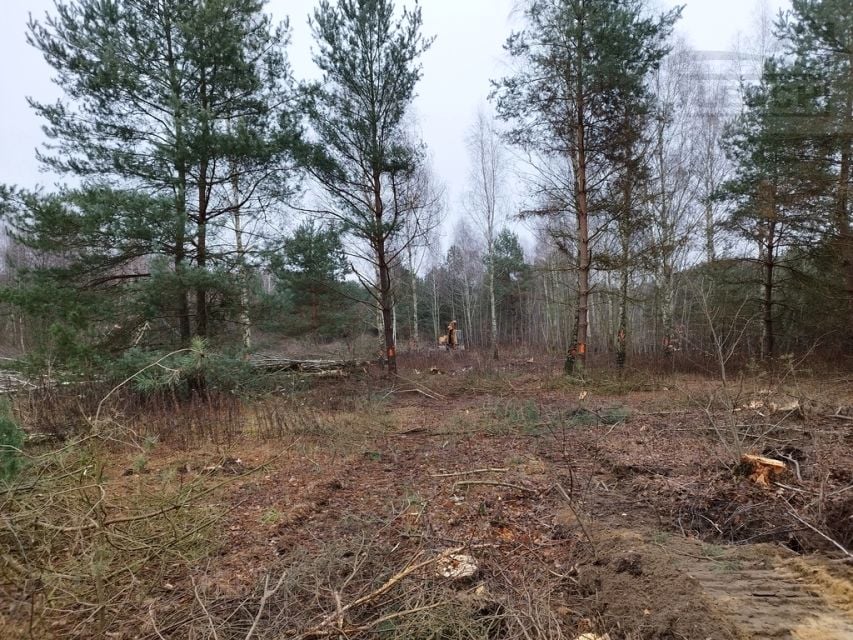Działka budowlana Zalesie