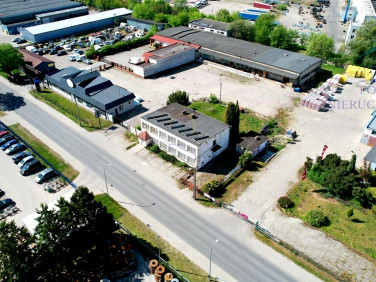 Lokal INOWROCŁAW