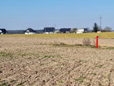 Działka budowlana Trzcielin sprzedam