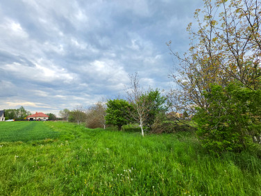 Działka Głuchów