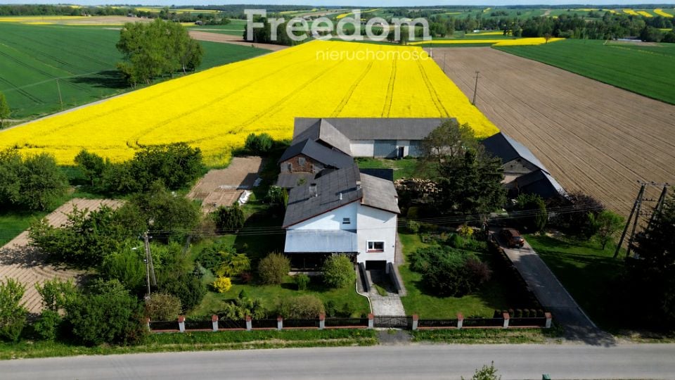 Zdjęcie 3