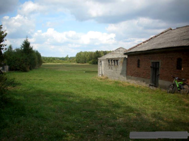 Działka siedliskowa Romanów