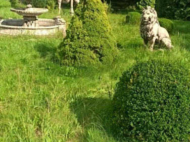 Działka Rudniki