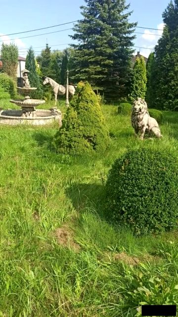 Działka Rudniki