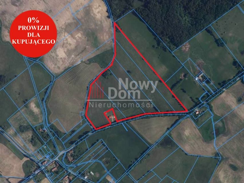 Działka siedliskowa Pańska Wola