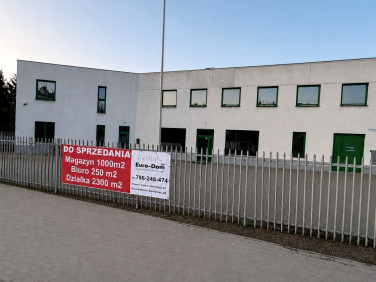 Budynek użytkowy Błonie sprzedaż