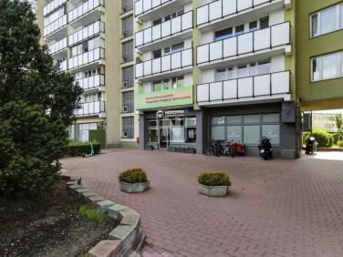 Lokal Warszawa