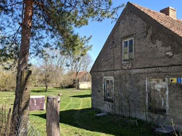 Dom Żelazki