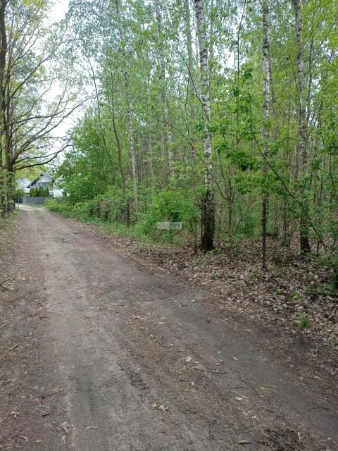 Zdjęcie 3