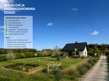 Działka inna Ostrów-Kania