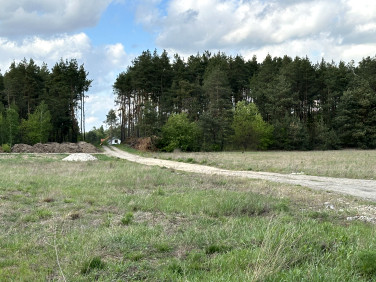 Działka budowlana Nowe Załubice