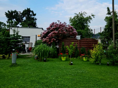 Działka rekreacyjna Poznań