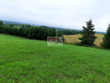 Działka rekreacyjna Rukławki
