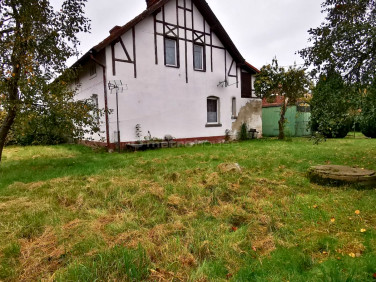 Dom Wilków