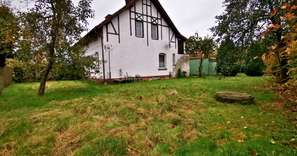 Dom Wilków