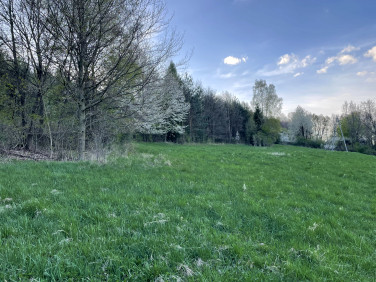 Działka budowlana Długopole Dolne sprzedam