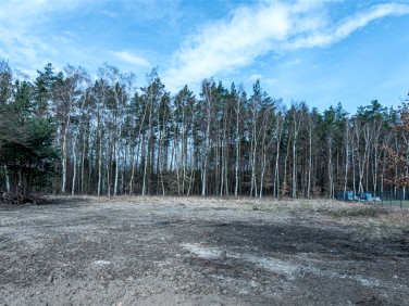 Działka budowlana Szczecin