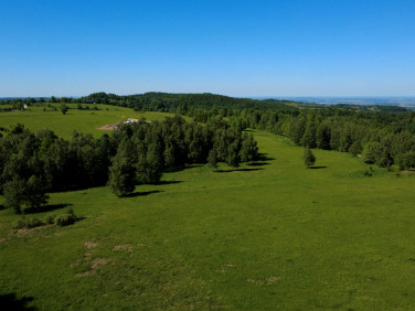 Działka Michałkowa