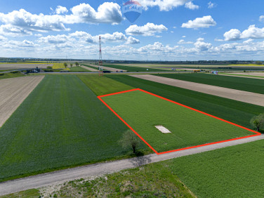 Działka przemysłowa Gołuski