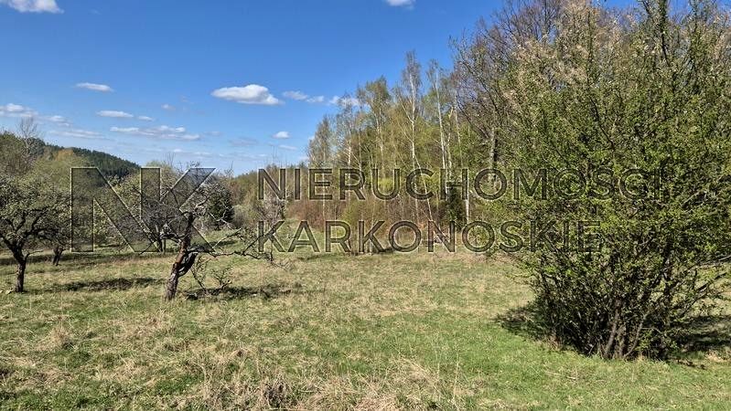 Działka Przesieka