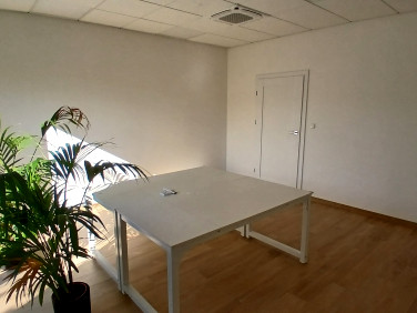 Lokal Bielsko-Biała
