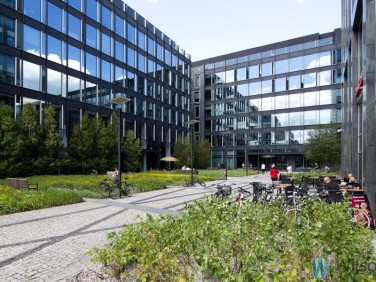Lokal Warszawa wynajem